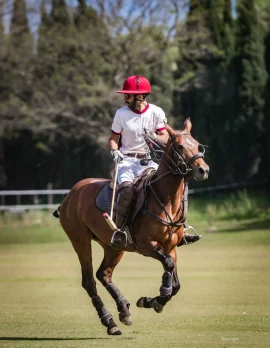 Qatar Polo Club playing